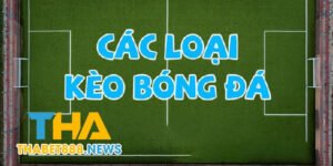 Các loại kèo cá cược bóng đá tại nhà cái Tha bet 